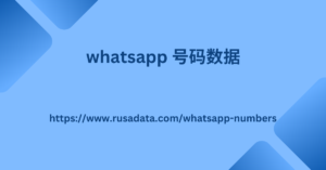 WhatsApp 号码数据