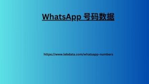 WhatsApp 号码数据